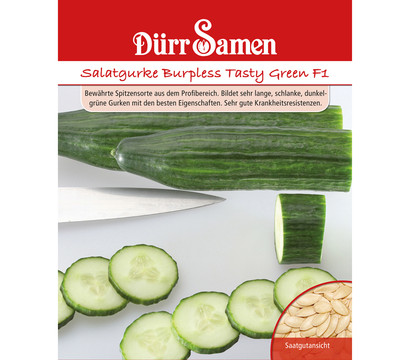 Dürr Samen Salatgurke 'Burpless Tasty Green F1'