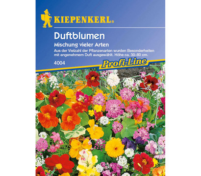 Duftblumen Mix, Saatgut von Kiepenkerl