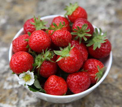 Erdbeere 'Aromastar'