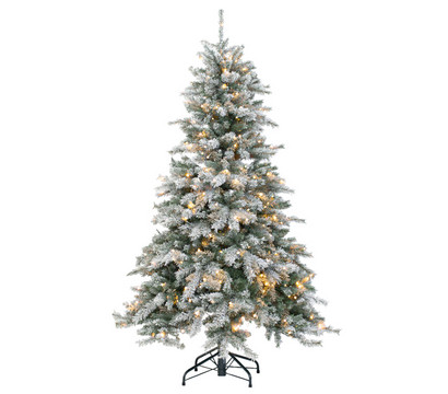 Evergreen Classics™ künstlicher LED-Weihnachtsbaum Fichte gefrostet, ca. H210 cm