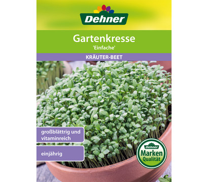 Dehner Samen Gartenkresse 'Einfache'