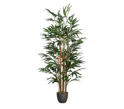 Gasper | H120 Bambus, Dehner Kunstpflanze ca. cm