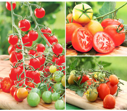 Gemüse-Set Tomatensalat, 3-teilig