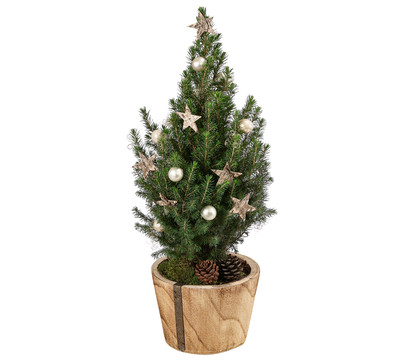Geschmückter Weihnachtsbaum Loxley, ca. H50 cm