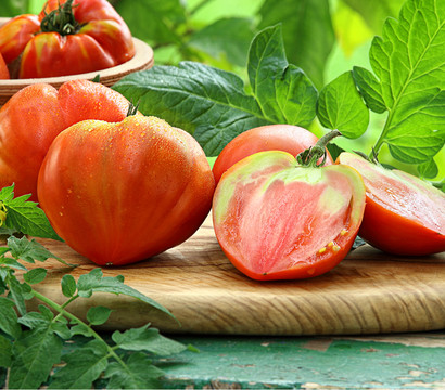 Dehner Gourmet Garten Ochsenherztomate, veredelt