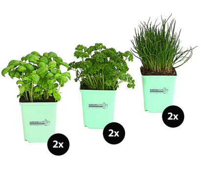 GREENBAR® Küchenkräuter-Set, 6-teilig