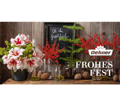 Gutschein - Frohes Fest