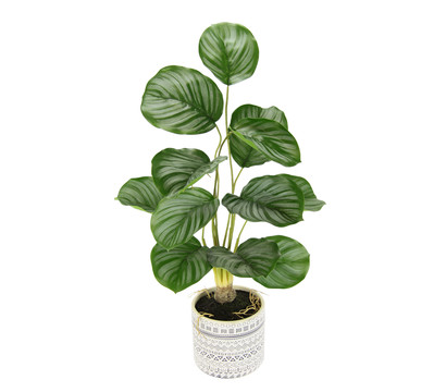 I.GE.A Kunstpflanze Korbmarante im Keramiktopf, ca. H60 cm