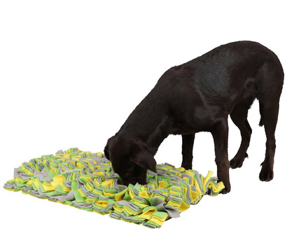 KERBL Pet Schnüffelteppich für Hunde, ca. B70/H5/T50 cm