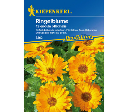 Kräuter-Ringelblumen, Saatgut von Kiepenkerl