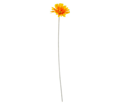 Kunstblume Gerbera, 56 cm