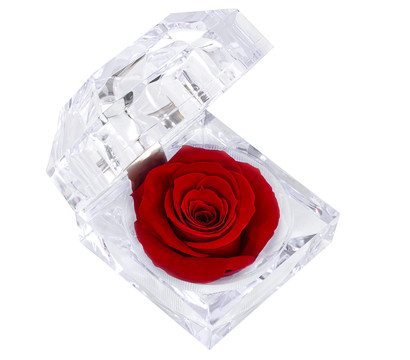 Longlife-Rose in Juwelenbox, ca. Ø3,5 cm