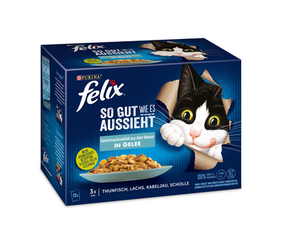 PURINA felix® Nassfutter für Katzen So gut wie es aussieht Geschmacksvielfalt aus dem Wasser