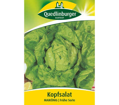 Quedlinburger Samen Kopfsalat 'Maikönig'