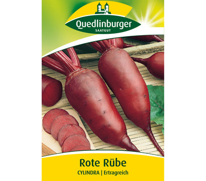 Quedlinburger Samen Rote Rübe 'Cylindra'