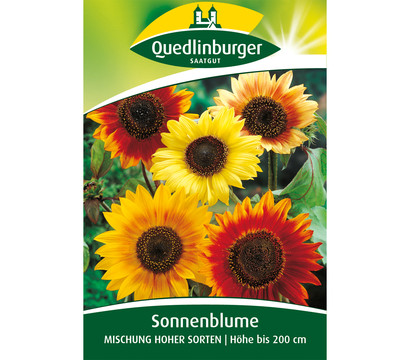 Quedlinburger Samen Sonnenblumen 'Mischung hoher Sorten'