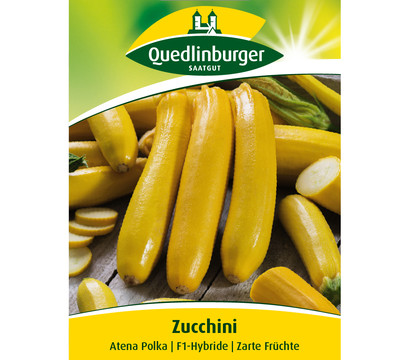 Quedlinburger Samen Zucchini 'Atena Polka'