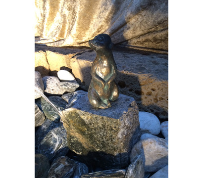 Rottenecker Bronze-Erdmännchen auf Granit, wasserspeiend
