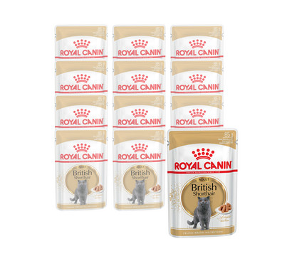 ROYAL CANIN® Nassfutter für Katzen British Shorthair in Soße, 12 x 85 g