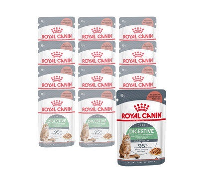 ROYAL CANIN® Nassfutter für Katzen Digestive Care in Soße, 12 x 85 g