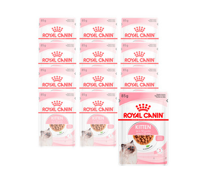 ROYAL CANIN® Nassfutter für Katzen Kitten in Soße, 12 x 85 g