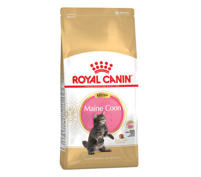 ROYAL CANIN® Trockenfutter für Katzen Maine Coon Kitten