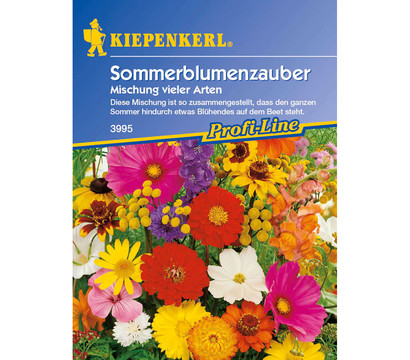 Sommerblumenzauber Mix, Saatgut von Kiepenkerl