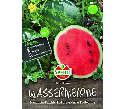SPERLI Samen Wassermelone 'Mini Love'