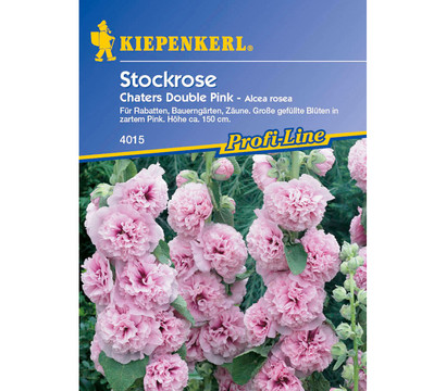 Stockrose Chaters Double Pink, Saatgut von Kiepenkerl