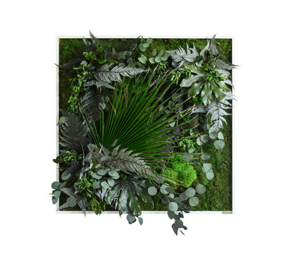 styleGREEN Bild im Dschungeldesign, quadratisch, ca. B80/H80/T20 cm