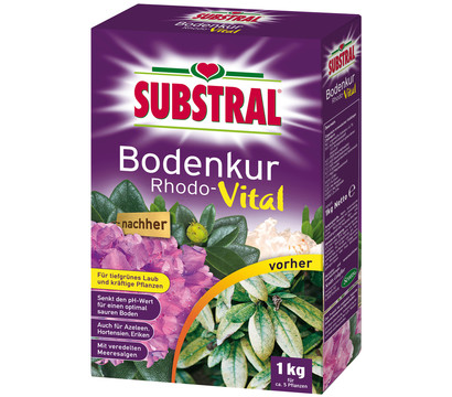 Substral® Bodenkur Rhodo-Vital, 1 kg