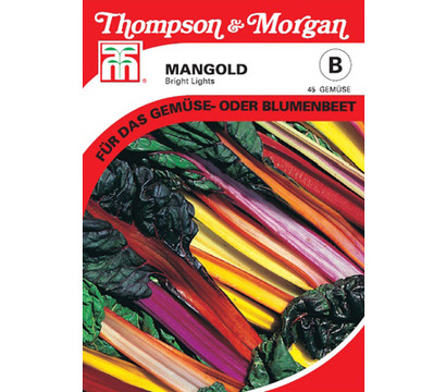 Thompson & Morgan Samen Mangold 'Bright Lights'
