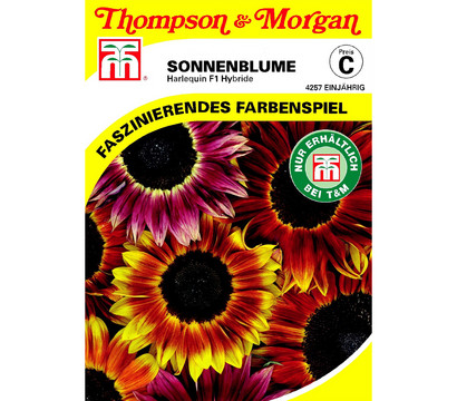 Thompson & Morgan Samen Sonnenblume 'Harlequin'
