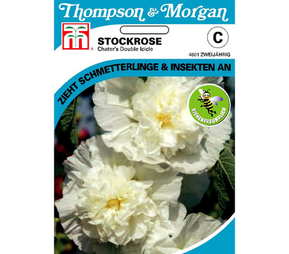Thompson & Morgan Samen Stockrose 'Chater's Double Icicle'
