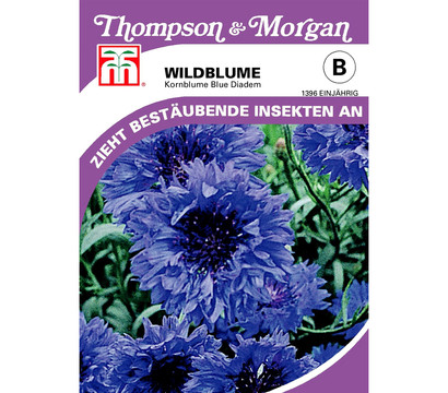 Thompson & Morgan Samen Wildblume 'Blue Diadem'