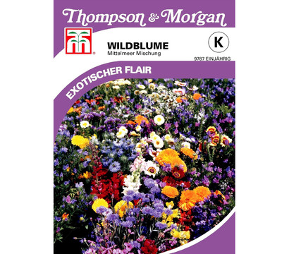 Thompson & Morgan Samen Wildblume 'Mittelmeer Mischung'