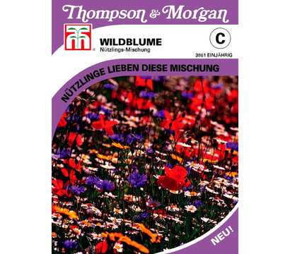 Thompson & Morgan Samen Wildblume 'Nützlings-Mischung'