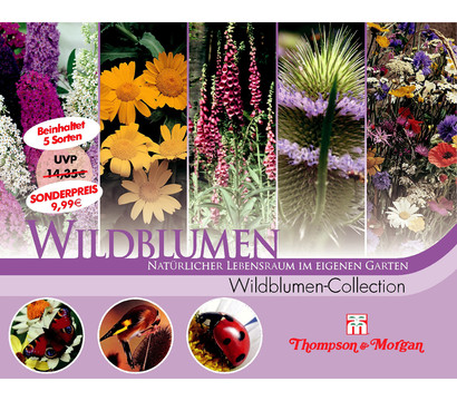 Thompson & Morgan Samen 'Wildblumen-Collection'