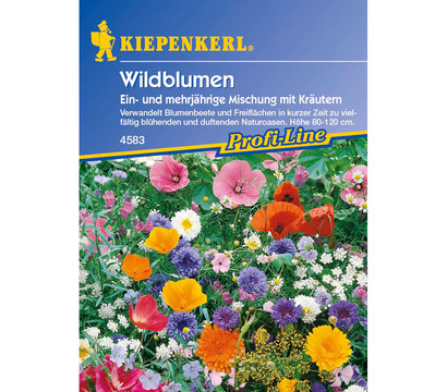 Wildblumen mit Kräutern Mix, Saatgut von Kiepenkerl