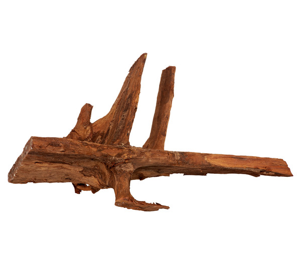 amtra Mangrovenholz XL, 70 - 100cm