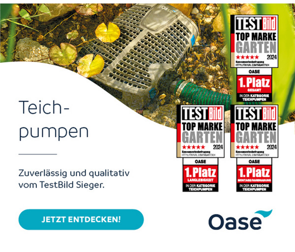 Oase Teichfilter- und Bachlaufpumpe AquaMax Eco Classic 5500