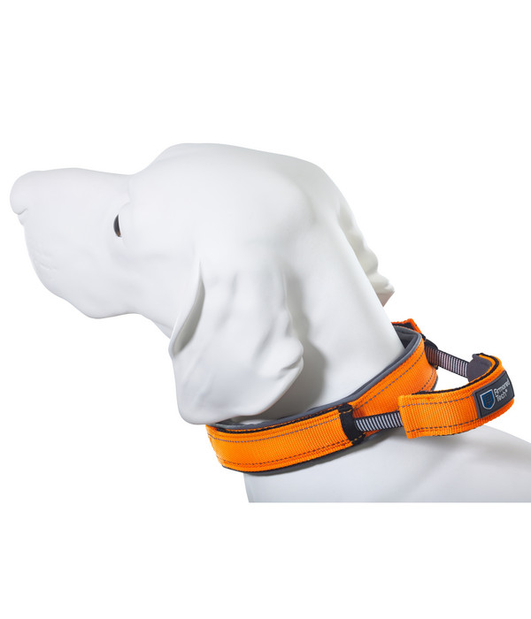 ArmoredTech® Hundehalsband Dog Control, Orange