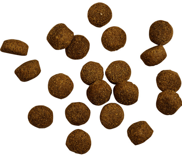 BELCANDO® Trockenfutter für Hunde Baseline Ranger, Adult, Rind, 12,5 kg