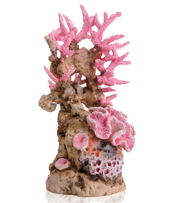 biOrb® Aquariumdeko Korallenriff Ornament, pink