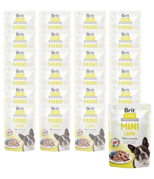 Brit Care Nassfutter für Hunde Filets in Soße, Mini, Adult, 24 x 85 g