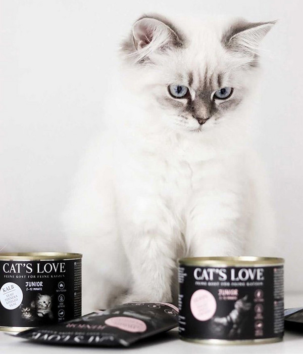 CAT'S LOVE Nassfutter für Katzen Junior, 6 x 200 g