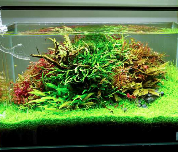 Chihiros Aquariumbeleuchtung LED-System A II Serie