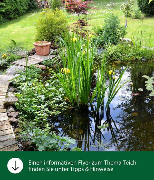 Dehner Aqua Gartenteichtorf, 10 l