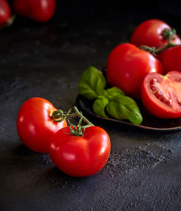 Dehner Gourmet Garten Tomate rund, veredelt