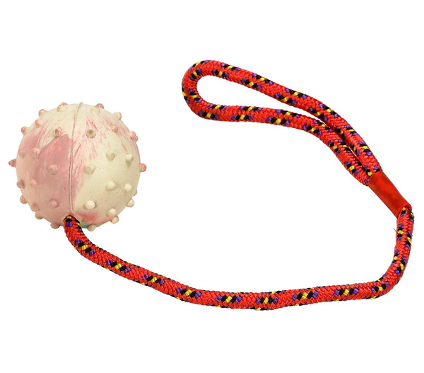 Dehner Hundespielzeug Ball am Seil Chubby